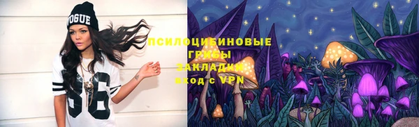 прущие крисы Заволжск