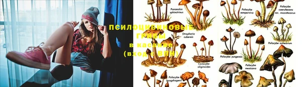 прущие крисы Заволжск
