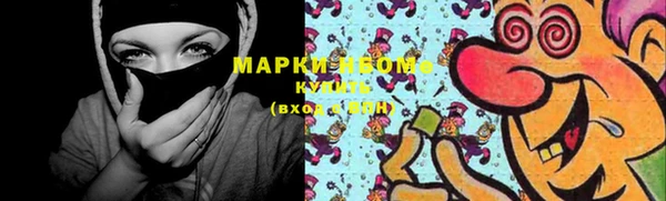 индика Заволжье