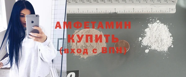 индика Заволжье