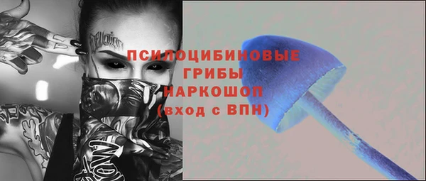 МДМА Заводоуковск