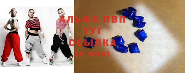 индика Заволжье