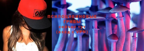 МДМА Заводоуковск