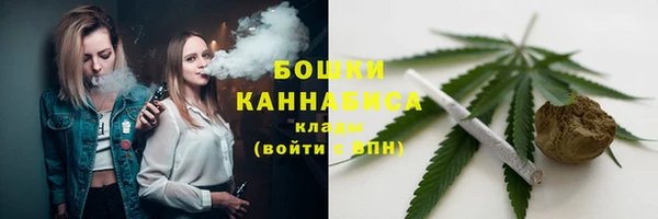 индика Заволжье