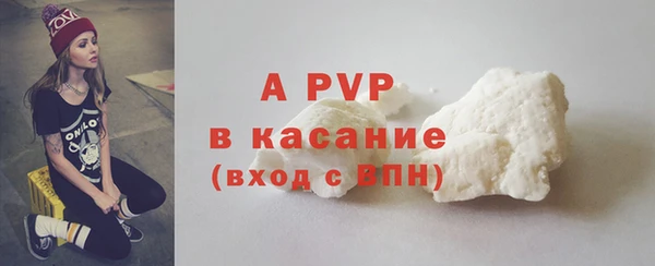 индика Заволжье