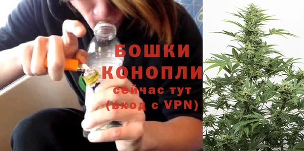 индика Заволжье