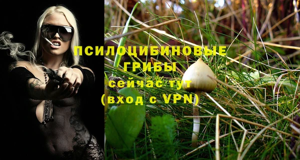 индика Заволжье