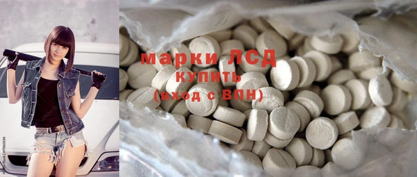 индика Заволжье