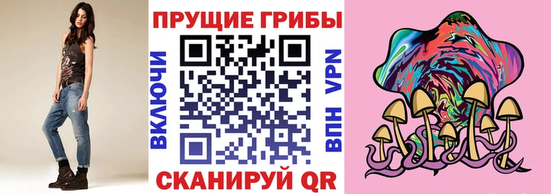 Псилоцибиновые грибы Psilocybe  Купить закладки  Инта 
